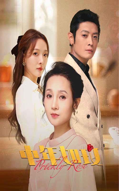中年如玫 第04集