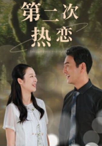 第二次热恋 第05集