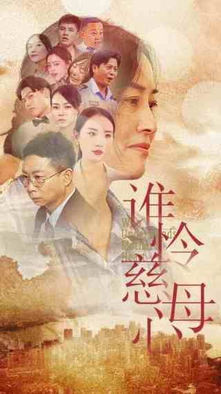 谁怜慈母心 第02集