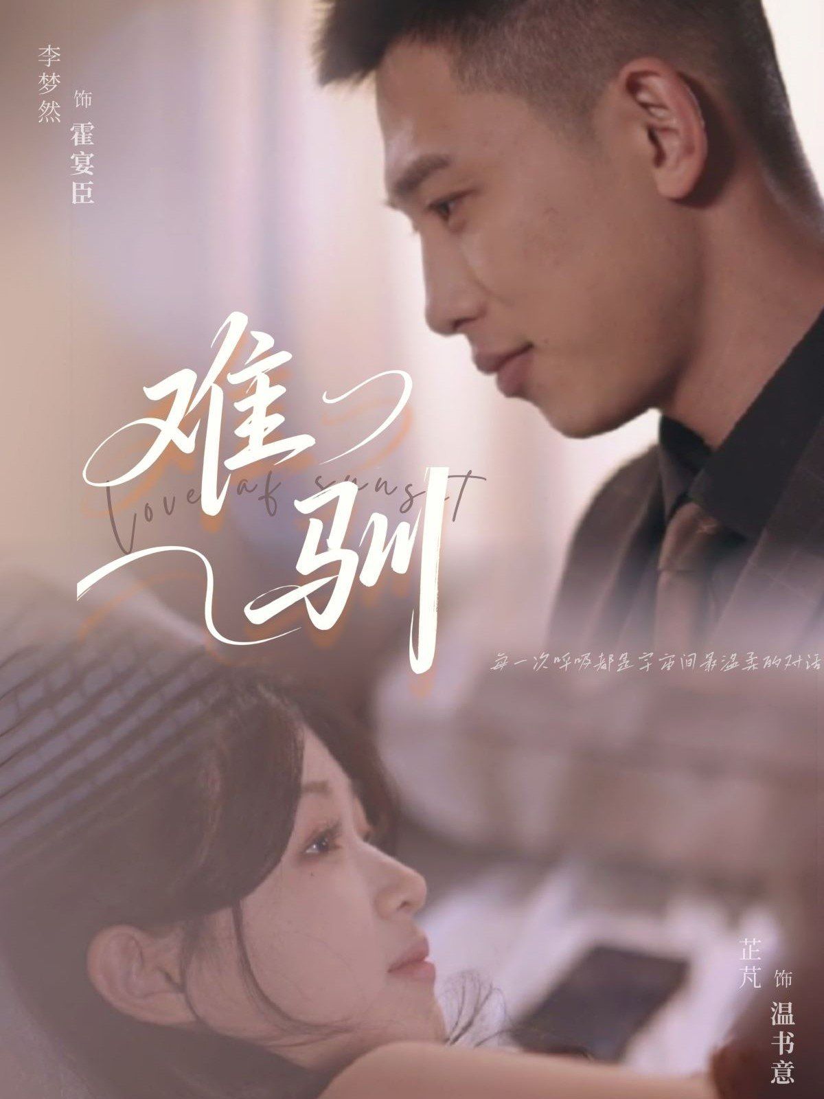 难驯 第31-62集完结(大结局)