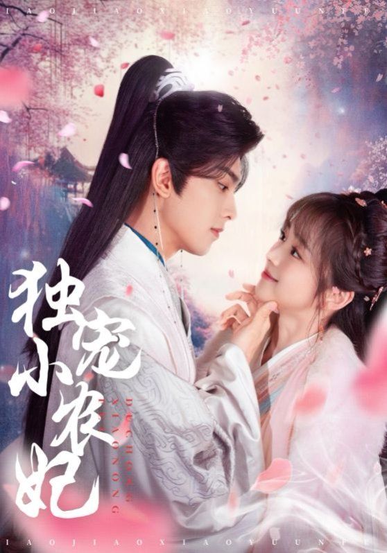 独宠小农妃 第3集