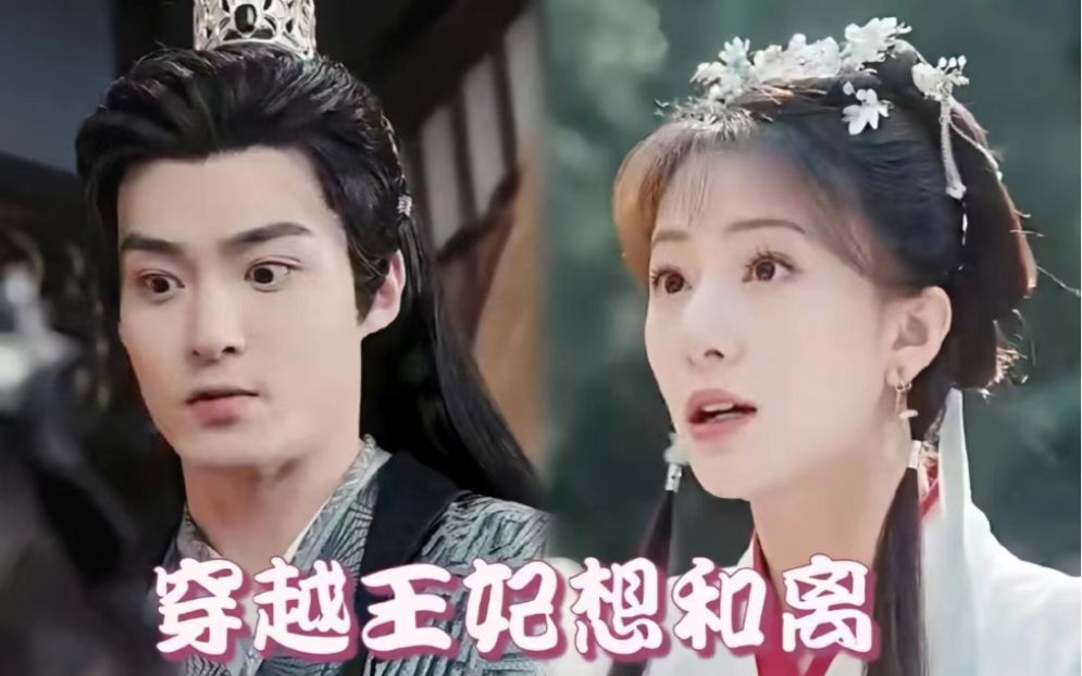 穿越王妃想和离 第21-40集