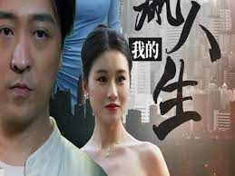 我的巅峰人生 第31-60集