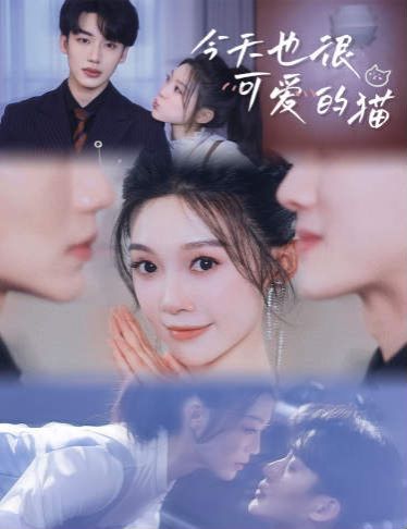 今天也很可爱的猫 第02集