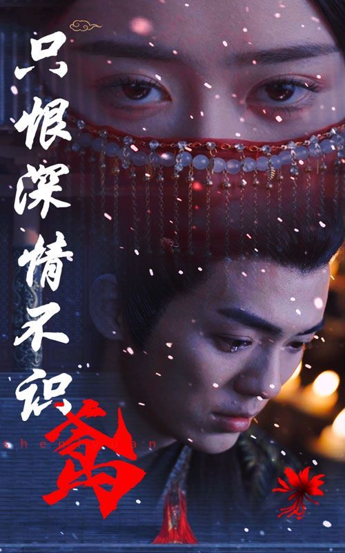 只恨深情不识鸢 第41-60集