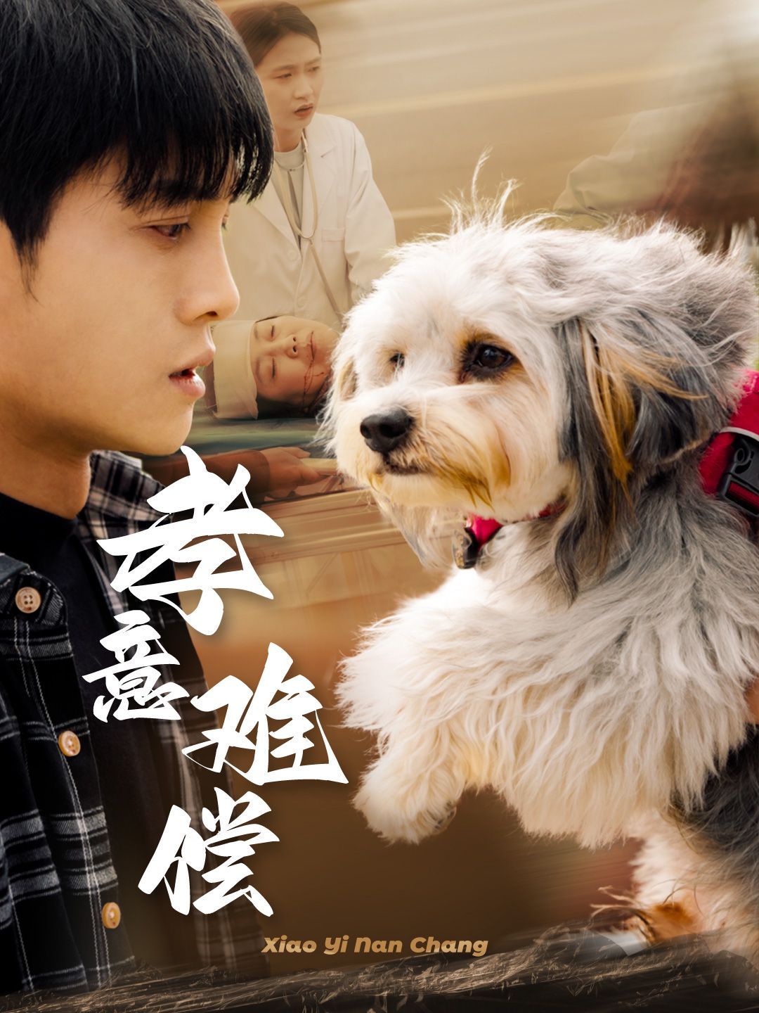 孝意难偿 第3集