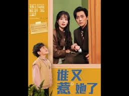 谁又惹她了 第9集