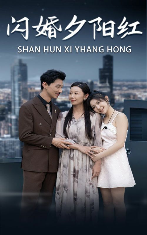 闪婚夕阳红 第03集