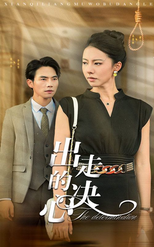 出走的决心 全集完结(大结局)