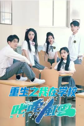 重生之我在学校叱咤风云 第21-40集
