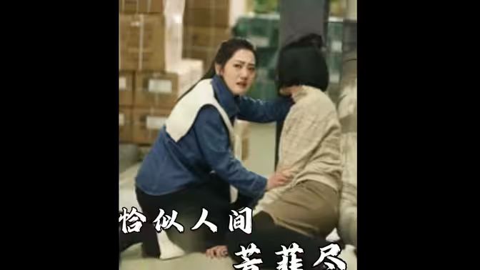 恰似人间芳菲尽 第1-30集