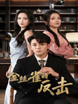 金丝雀的反击 第01集