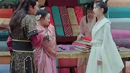 欢颜知君心 第21-40集