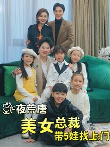 一夜荒唐美女总裁带5娃找上门 第04集