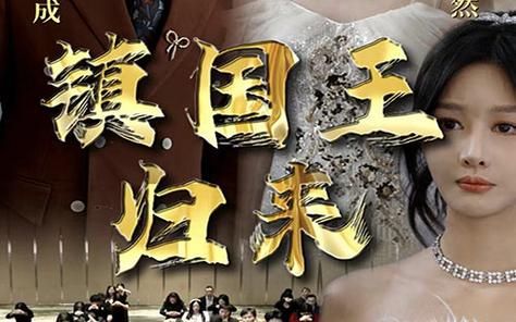 镇国王归来 第31-60集