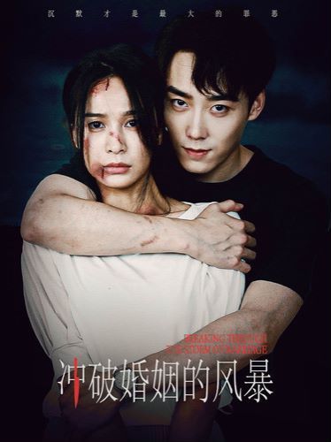 冲破婚姻的风暴 第02集