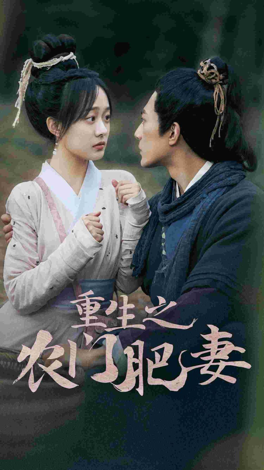 重生之农门肥妻 第21-40集