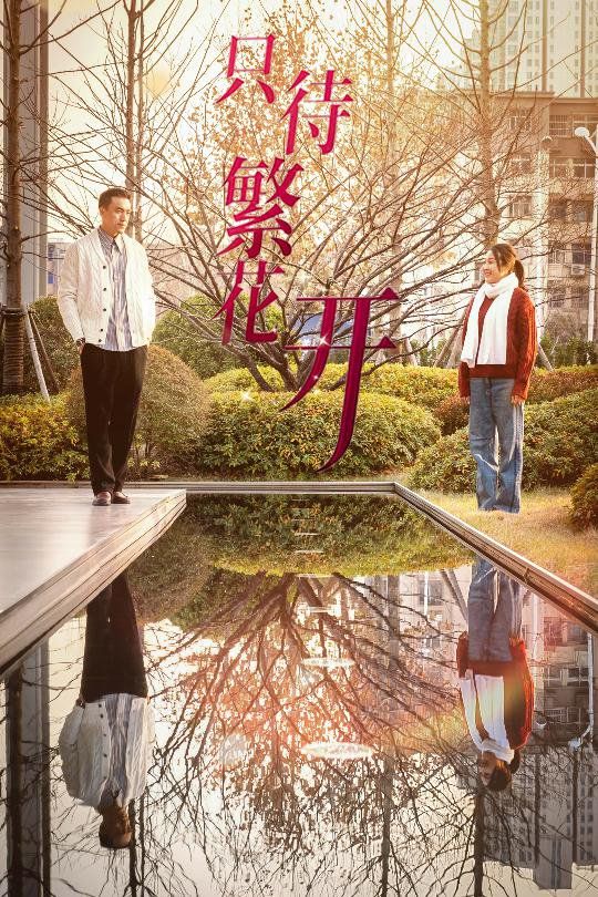 只待繁花开 第6集