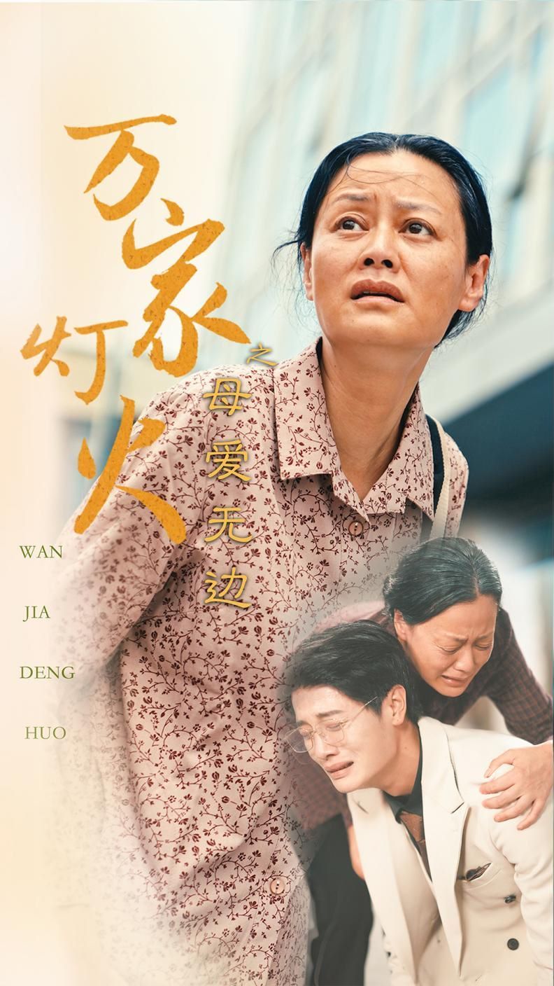 万家灯火之母爱无边 第03集