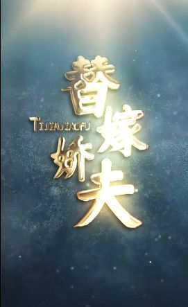 替嫁娇夫 第21-40集