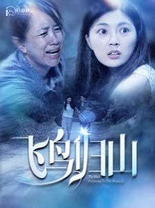 飞鸟归山 第21-40集