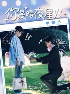 你是暗夜星火 第81-100集