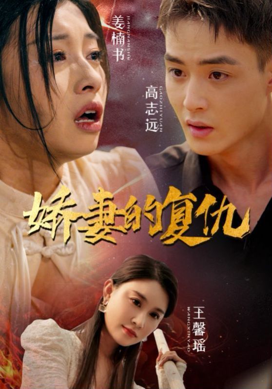 娇妻的复仇 第02集