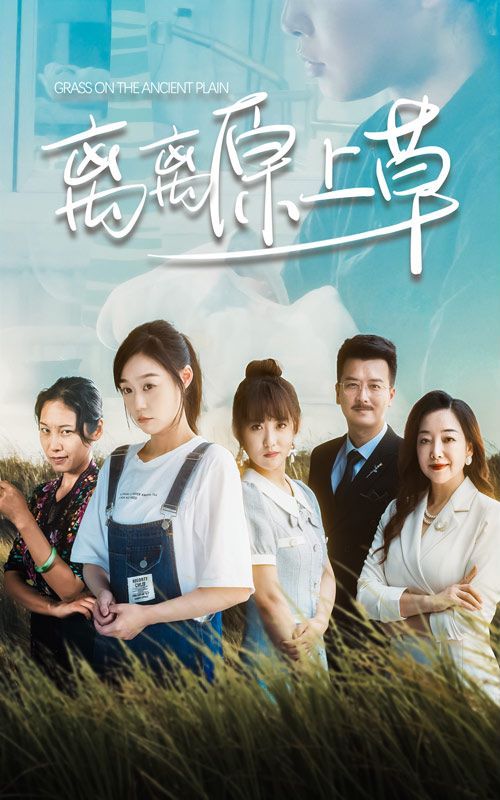 离离原上草 第03集