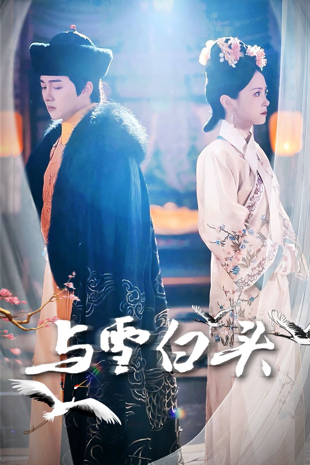 与雪白头 第09集