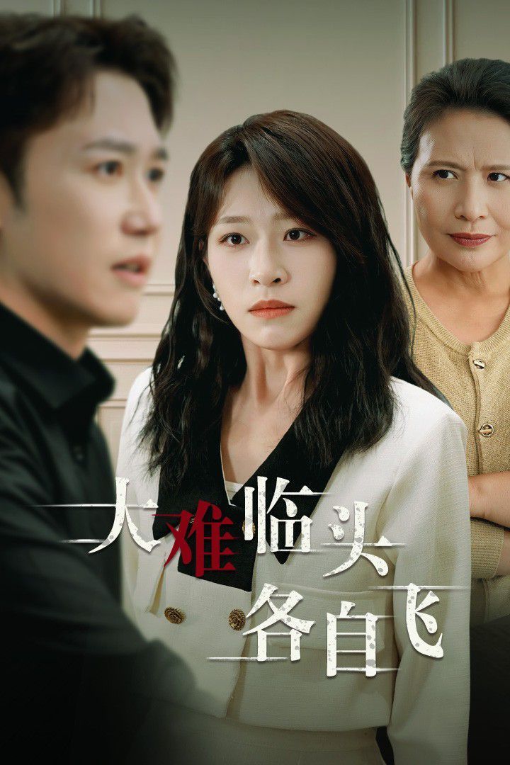 新：大难临头各自飞 第21-40集