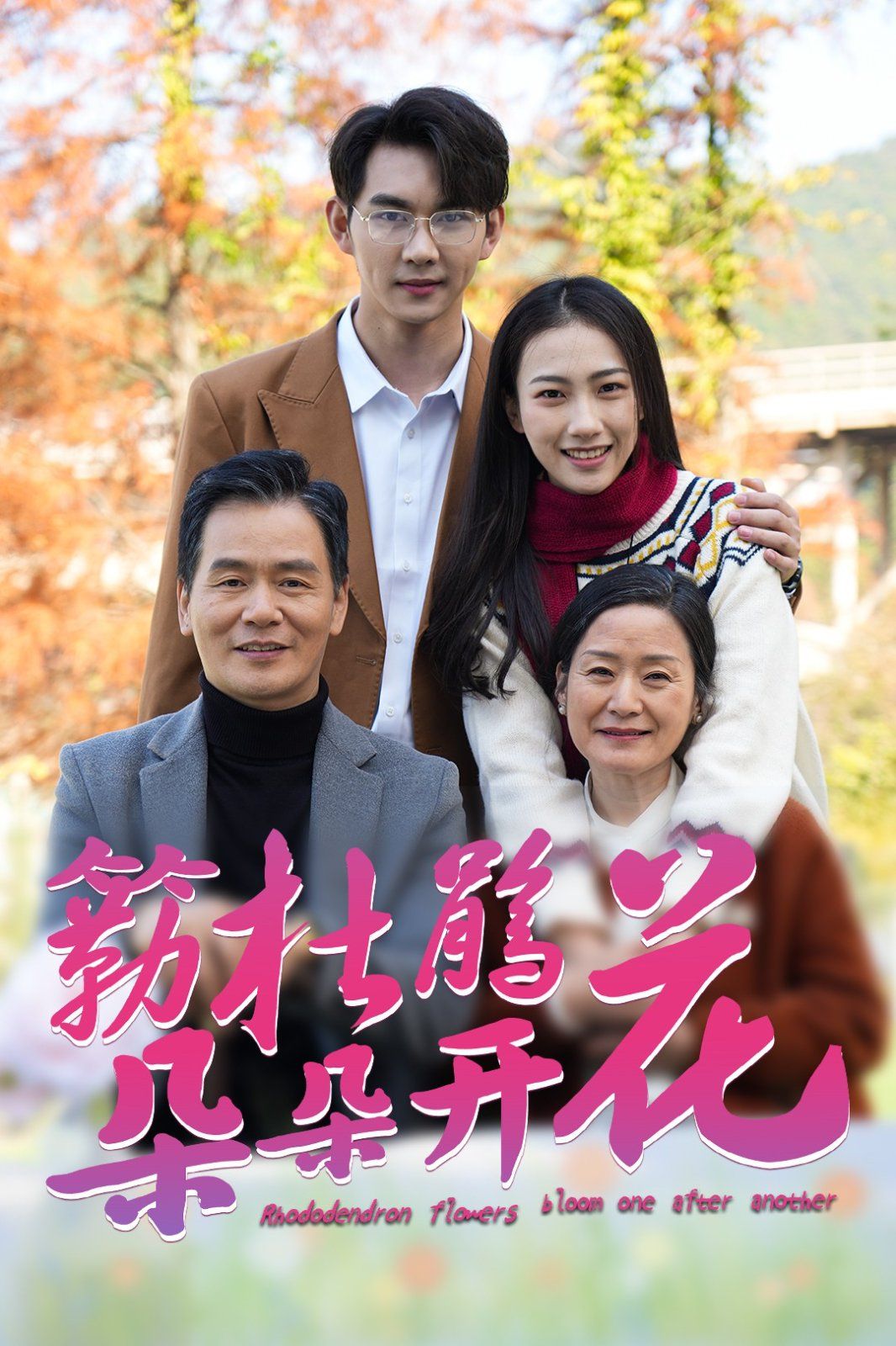 簕杜鹃花朵朵开 第2集