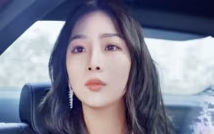 女总裁还乡又美又飒 第41-80集完结(大结局)