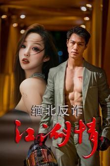 缅北反诈江湖情 第12集