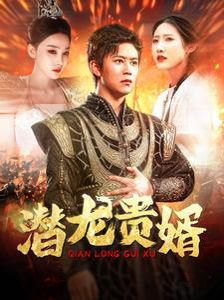 潜龙贵婿 第41-60集