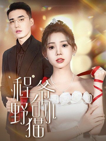 程爷的小野猫 第03集