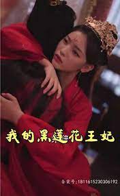 我的黑莲花王妃 第2集