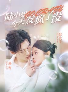 陆小姐今天发疯了没 第21-40集