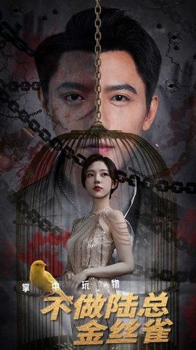 掌中玩物不做陆总金丝雀 第1-20集