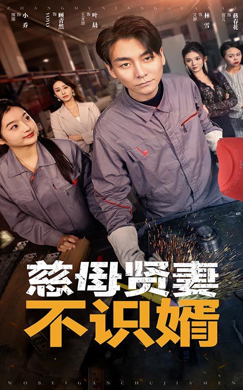 慈母贤妻不识婿 第30集