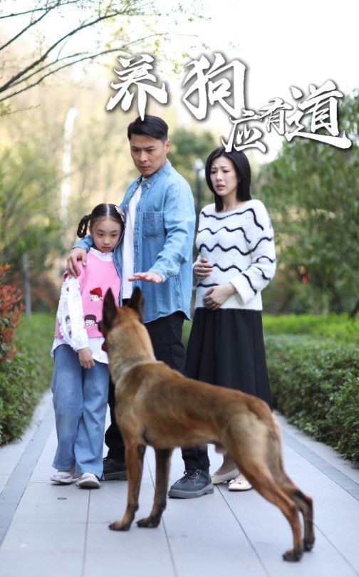 养狗应有道 第31-60集完结(大结局)