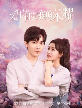 爱上你是我的荣耀 第03集