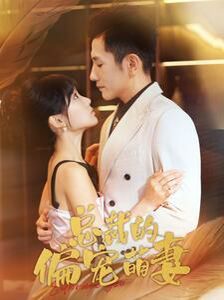 总裁的偏宠萌妻 第21-40集