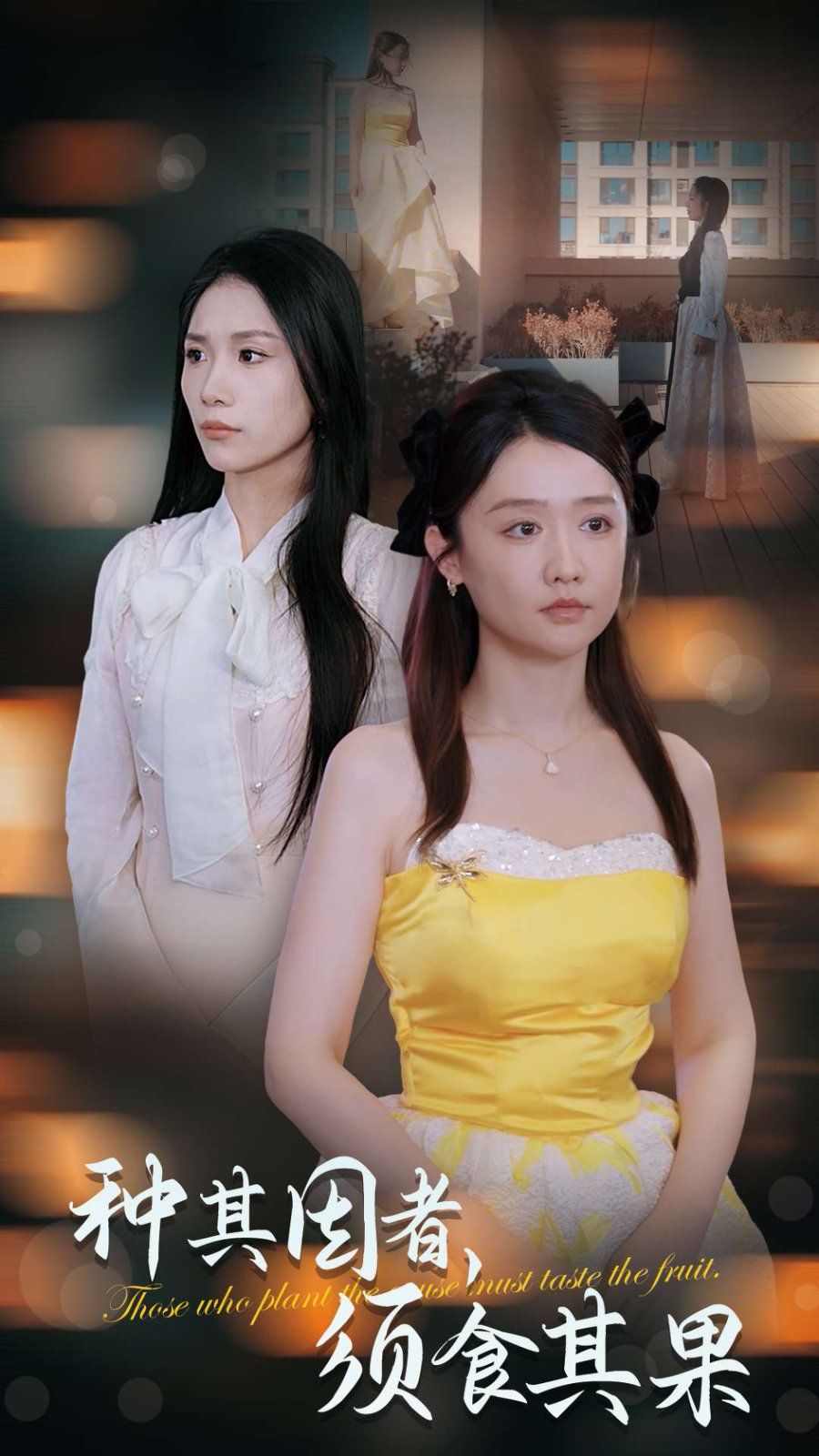 种其因者须食其果 第2集