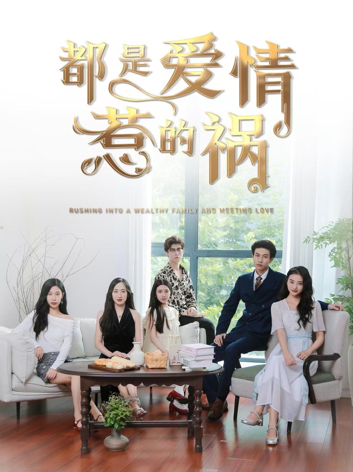 都是爱情惹的祸 第21-40集