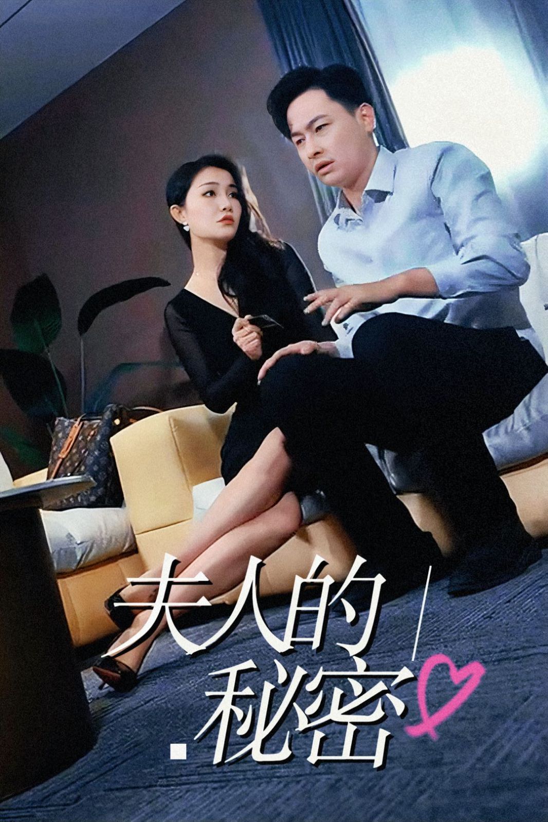 夫人的秘密 第1-20集