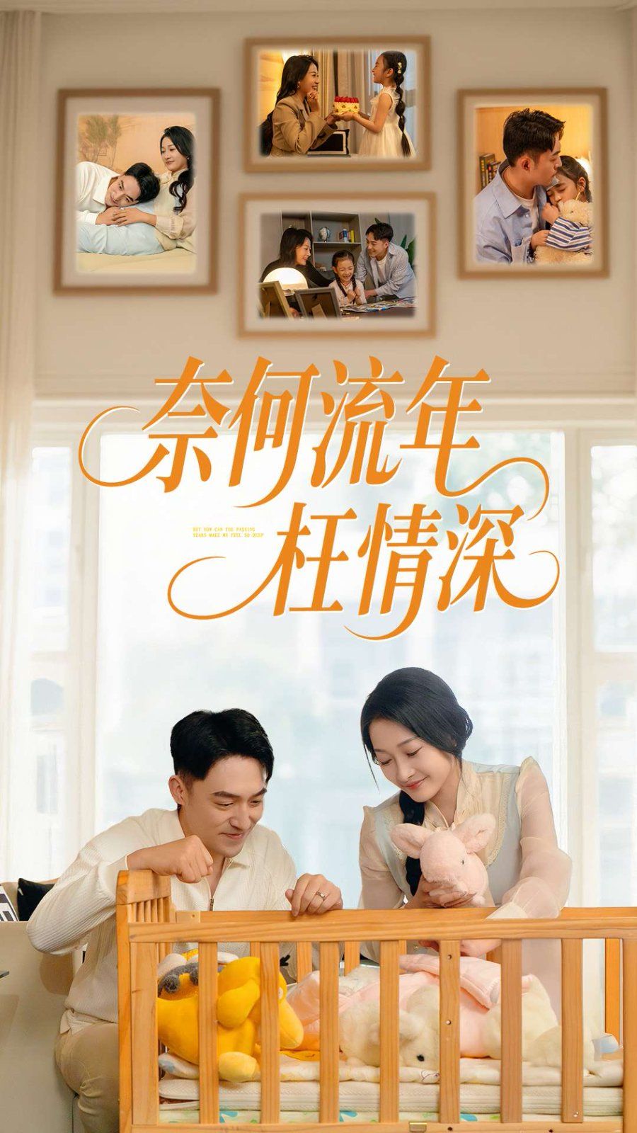 新奈何流年枉情深 第31-60集完结(大结局)