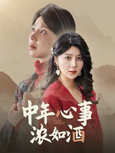 中年心事浓如酒 第21-40集