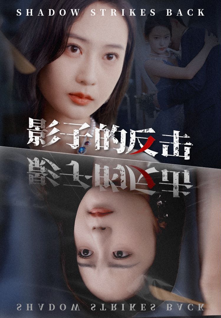 影子的反击 第02集