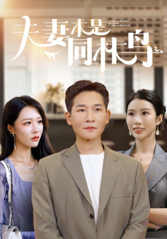 夫妻本是同林鸟 第1-20集