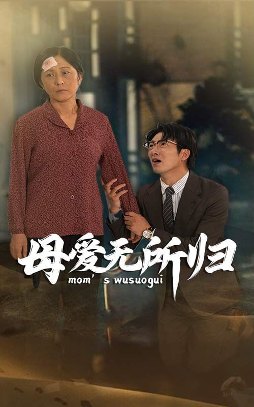 母爱无所归 第03集